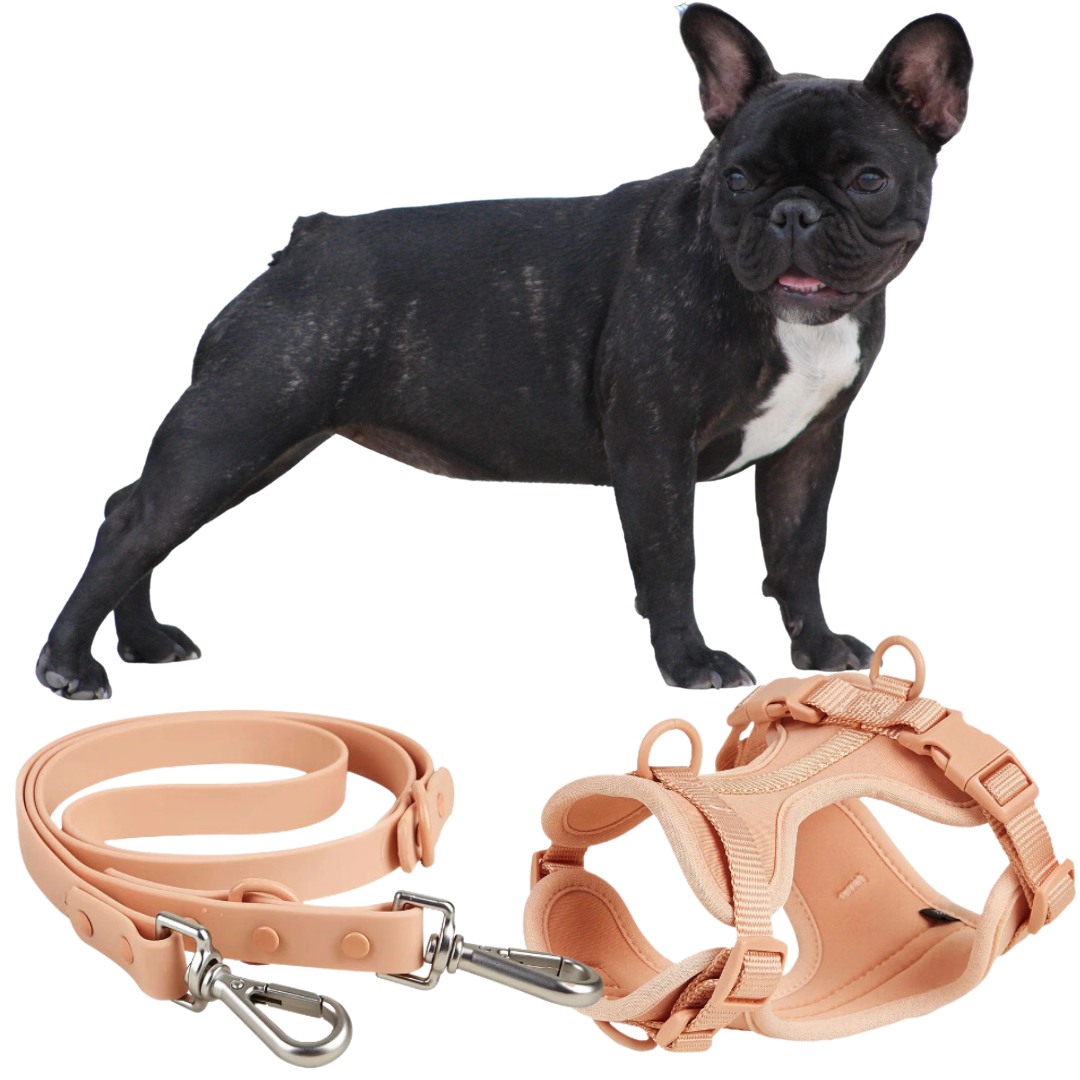 Frenchie Quick Release Harness Leash Set for Outdoor Adventures-fadou