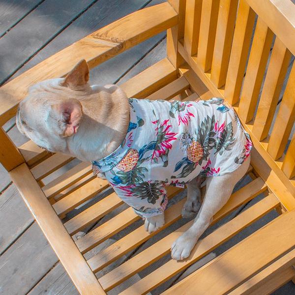 Stylish Shirts for French Bulldog Owners and Fans for Frenchies-fadou