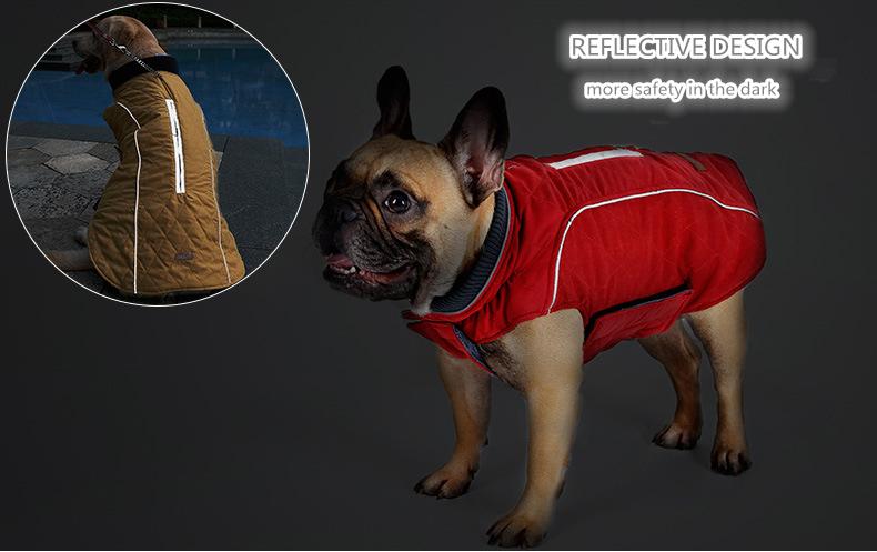 Cooper Jacket - Frenchie Waterproof Jacket for Frenchie Fans-fadou