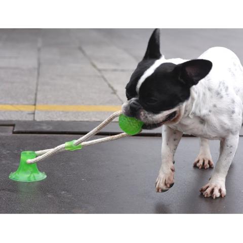 Suction French Bulldog Plush Play Toy for Short-Nosed Dogs-fadou