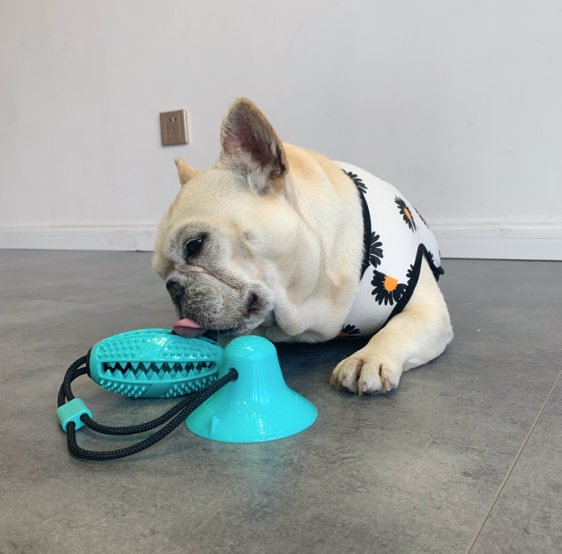 Suction French Bulldog Interactive Toy for Travel Comfort-fadou