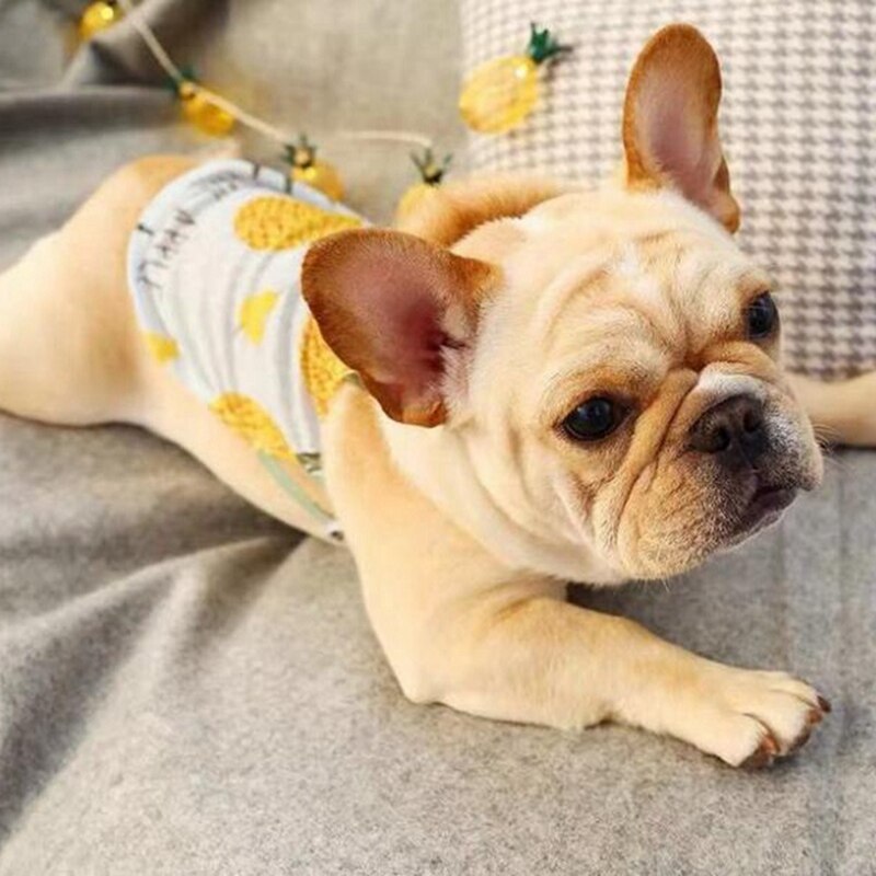 Summer Time - Shirt for French Bulldog Owners and Fans for Frenchies-fadou