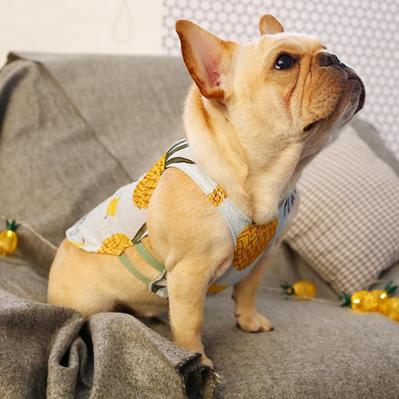 Summer Time - Shirt for French Bulldog Owners and Fans for Frenchies-fadou