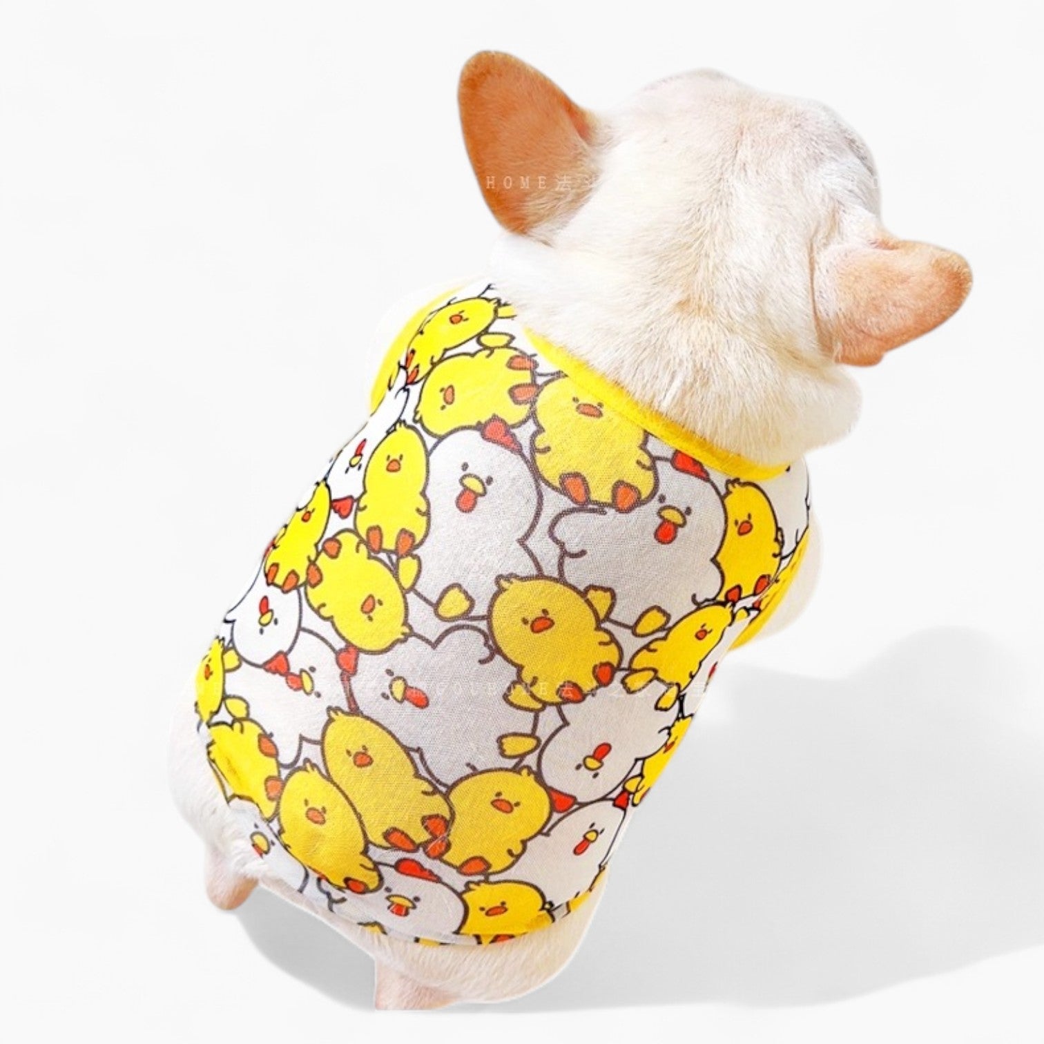 Lightweight Breathable Chest Harness for French Bulldogs-fadou