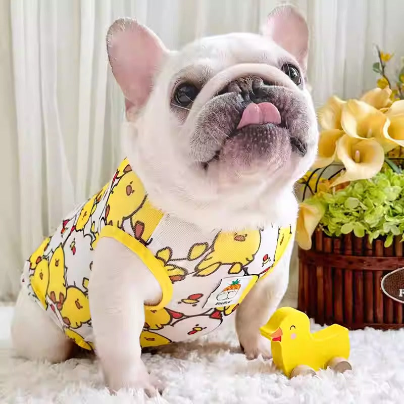 Lightweight Breathable Chest Harness for French Bulldogs-fadou