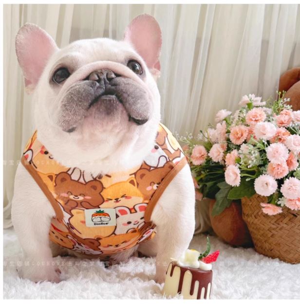 Lightweight Breathable Chest Harness for French Bulldogs-fadou