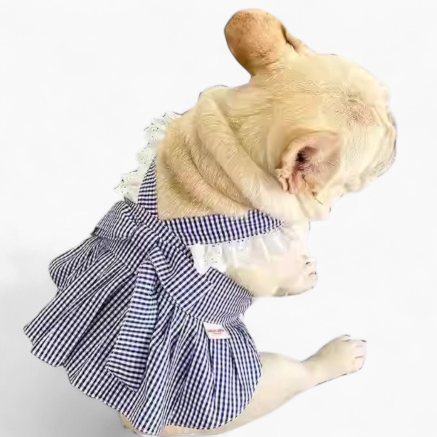 Frenchie Breathable Halloween Cosplay for Travel Comfort-fadou