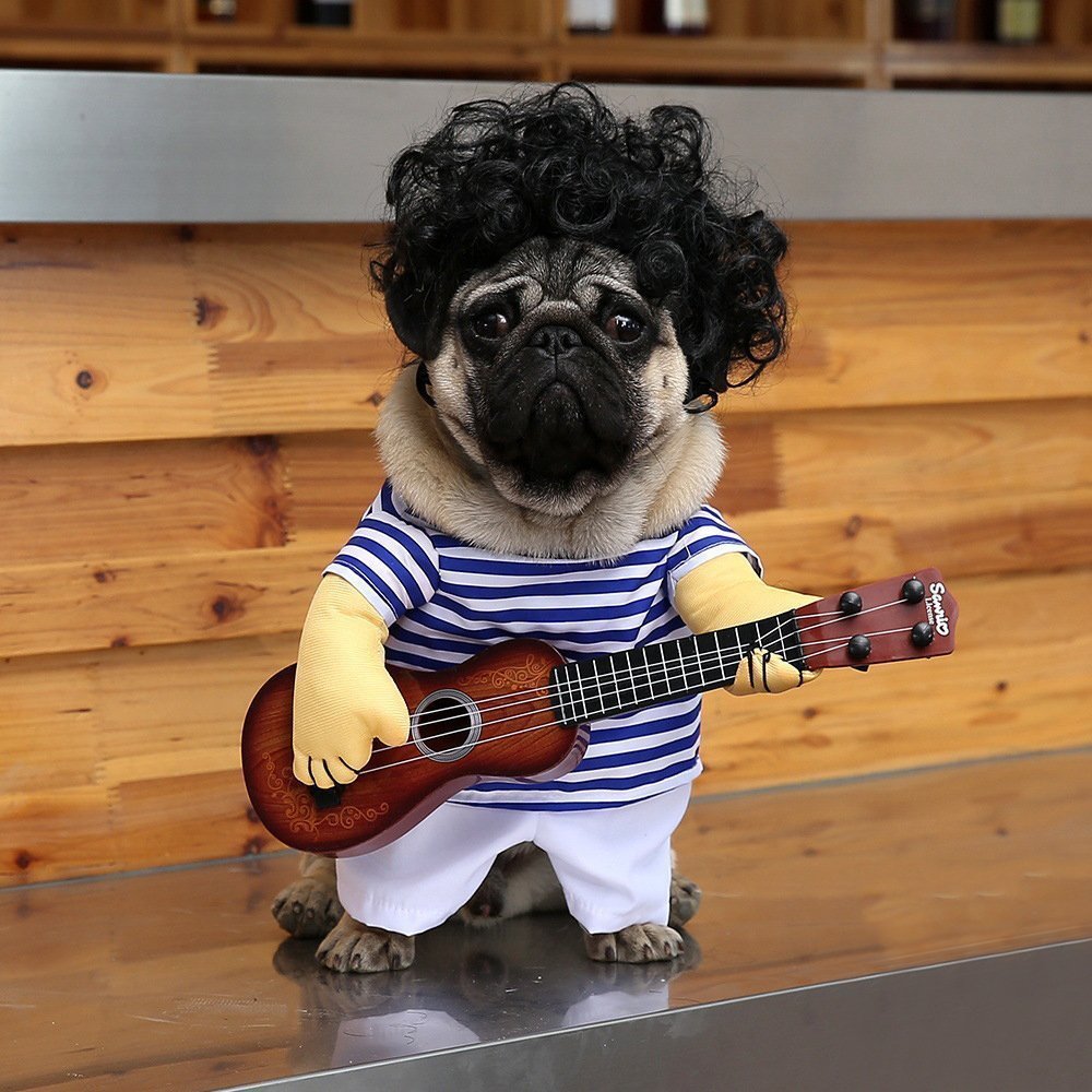 The Guitarist - Halloween Costume for Frenchie Enthusiasts-fadou