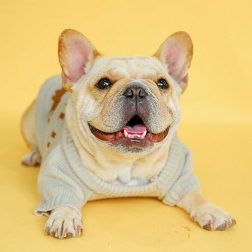 French Bulldog Warm Knit Sweater for Brachycephalic Dogs-fadou