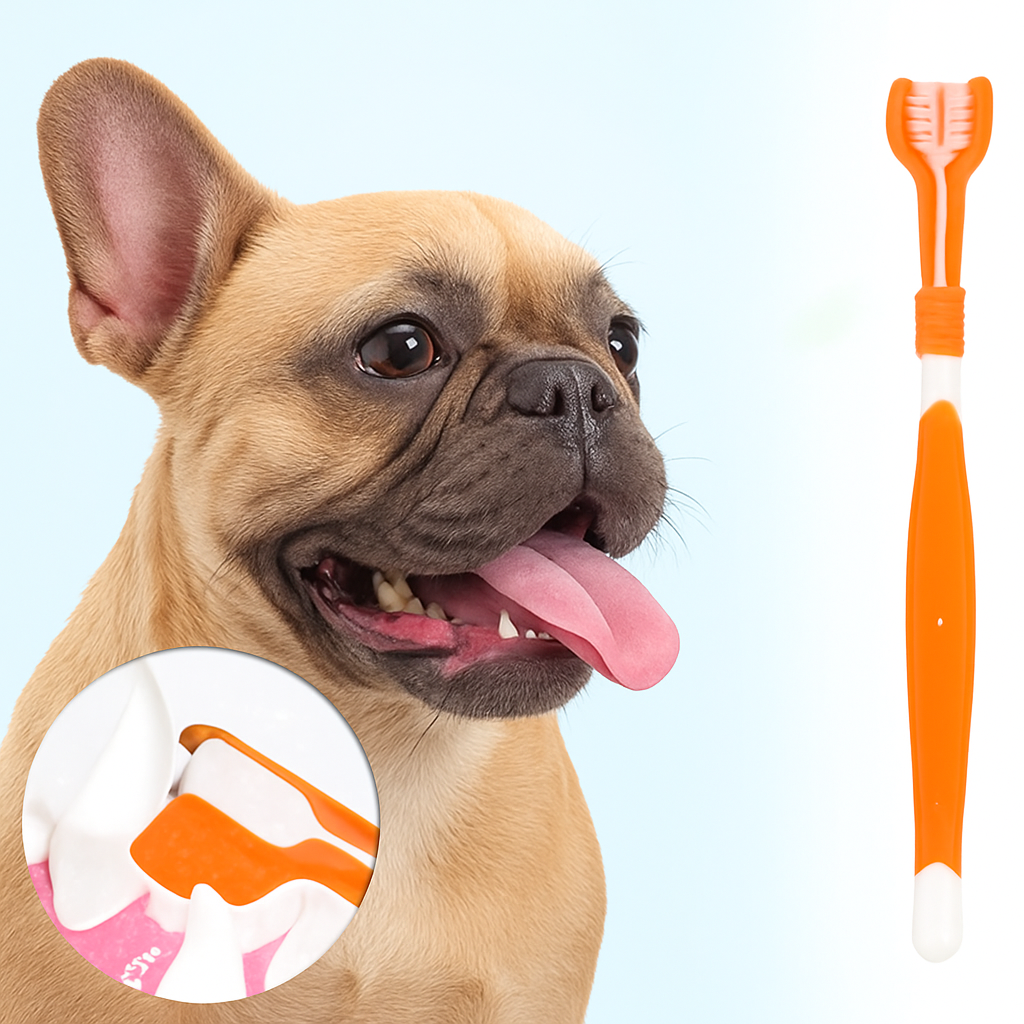 French Bulldog Soft Grooming Brush for Outdoor Adventures-fadou