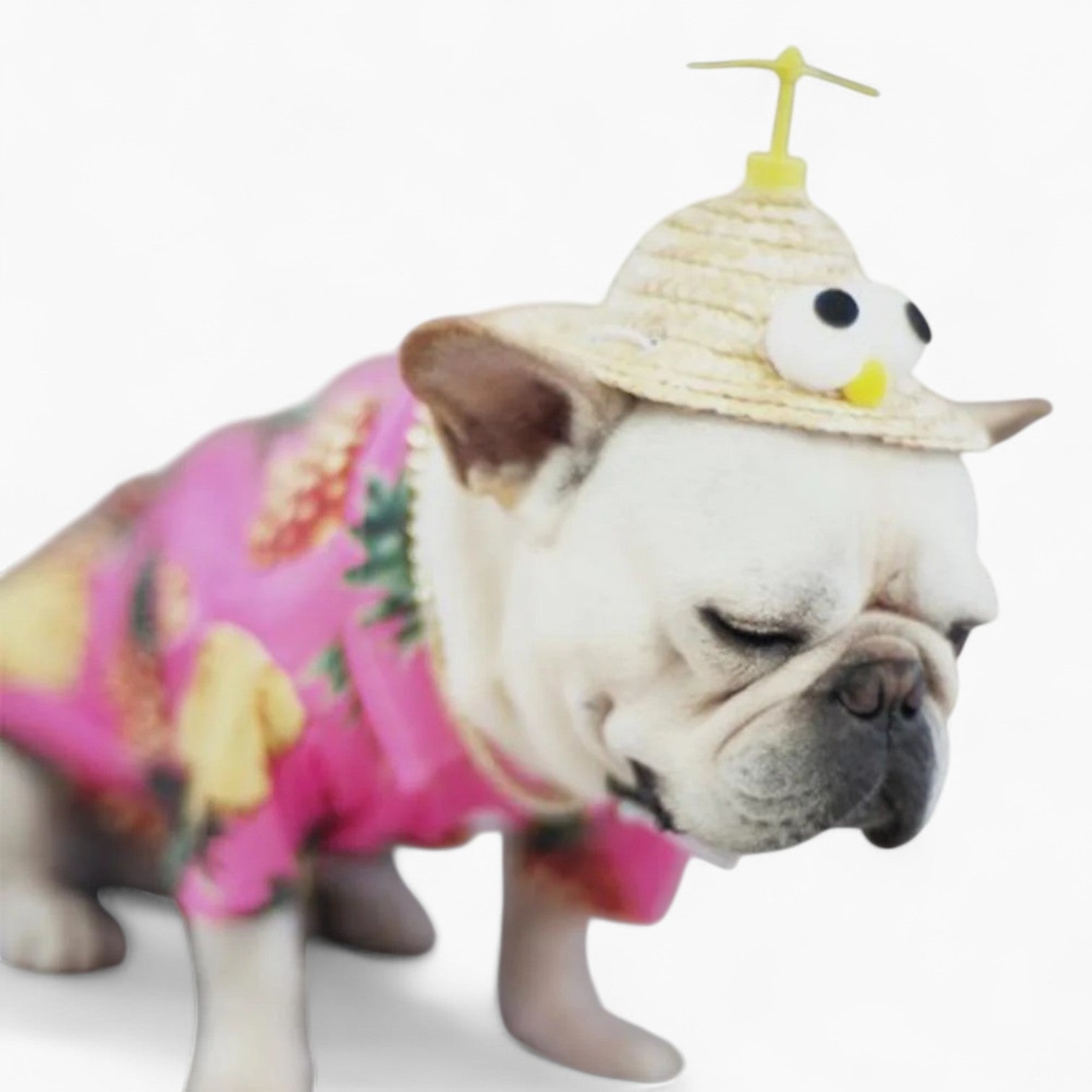 TwirlCap French Bulldog Snapback Hat for Dog Moms & Dads-fadou