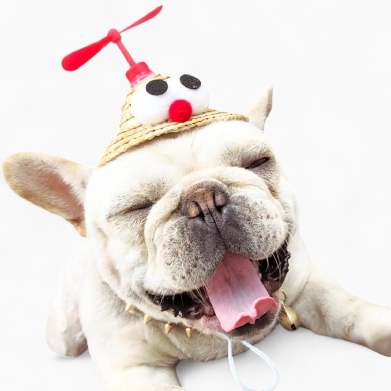 TwirlCap French Bulldog Snapback Hat for Dog Moms & Dads-fadou
