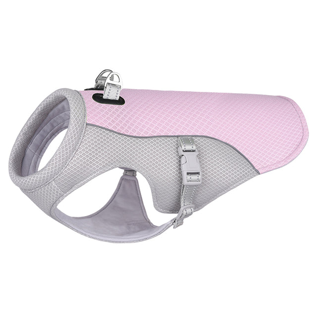 French Bulldog Breathable Walking Harness for Brachycephalic Dogs-fadou