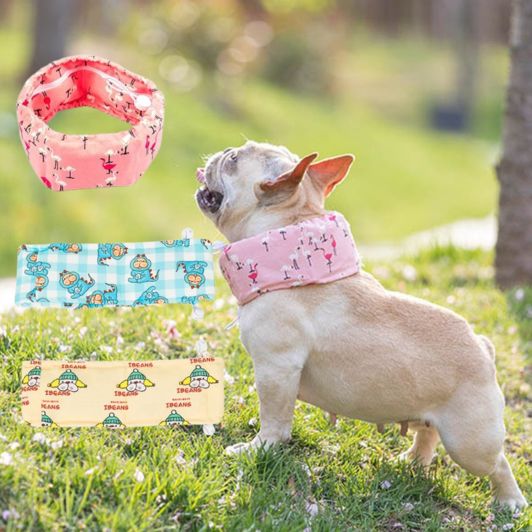 Frenchie Summer Cooling Scarf Anti-Heatstroke for Pet Parents-fadou