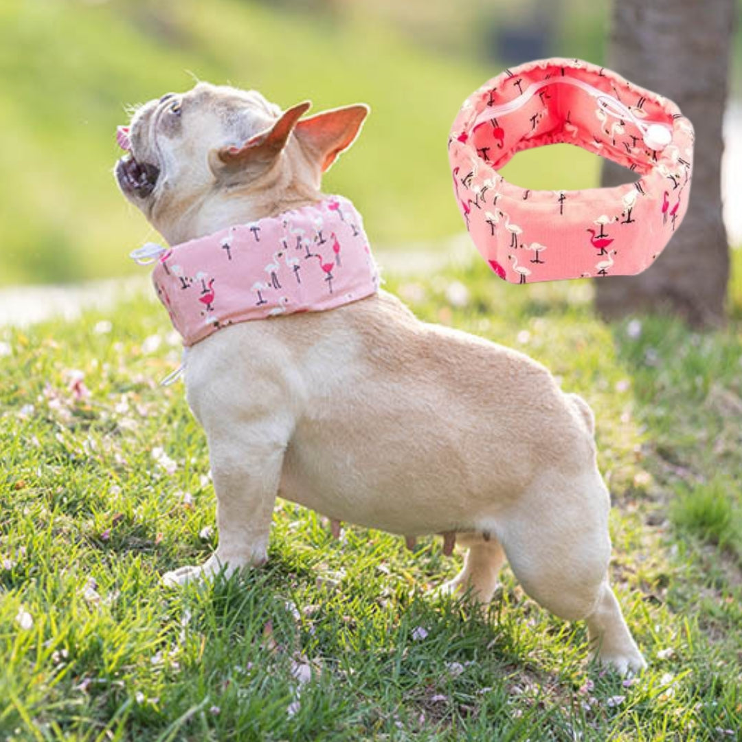 Frenchie Summer Cooling Scarf Anti-Heatstroke for Pet Parents-fadou
