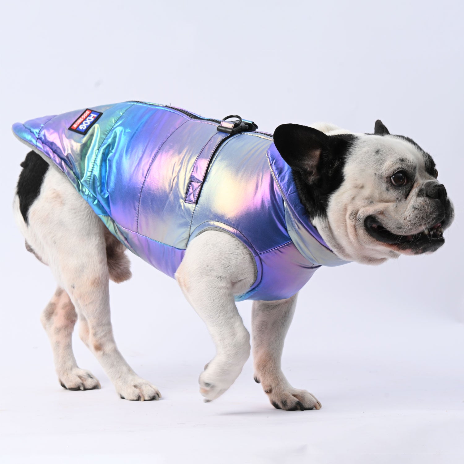 French Bulldog Reflective Product for Frenchie Enthusiasts-fadou