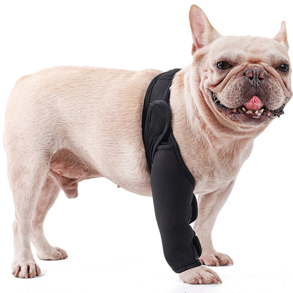 French Bulldog Front Leg Knee Pads Support Brace for Playtime Fun-fadou