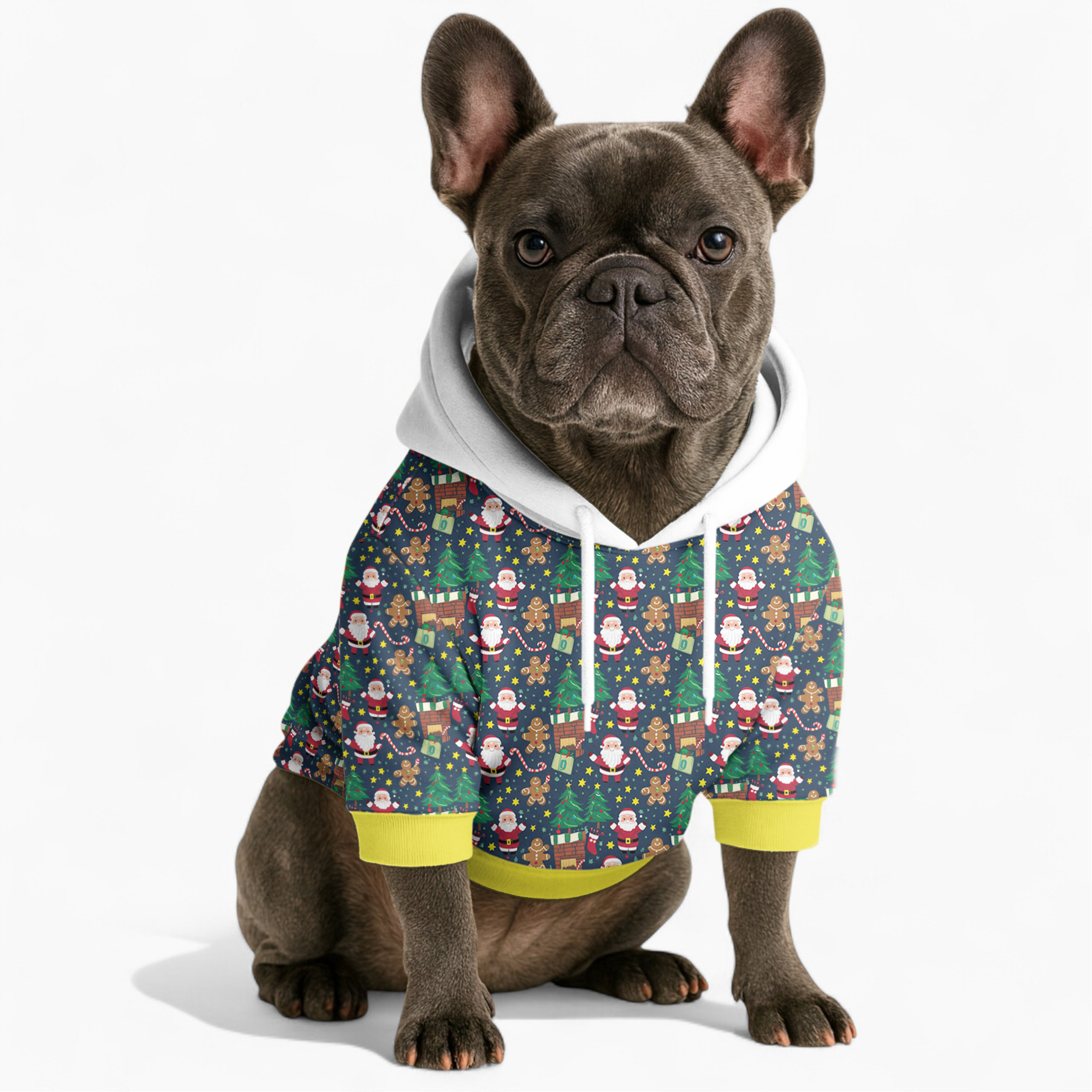 Chris French Bulldog Pet Sweatshirt for French Bulldogs-fadou