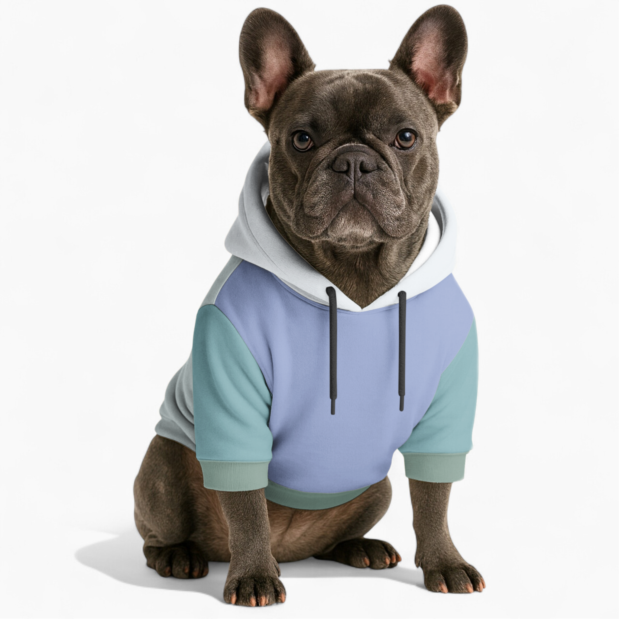 Ross French Bulldog Fleece Hoodie for Training Sessions-fadou