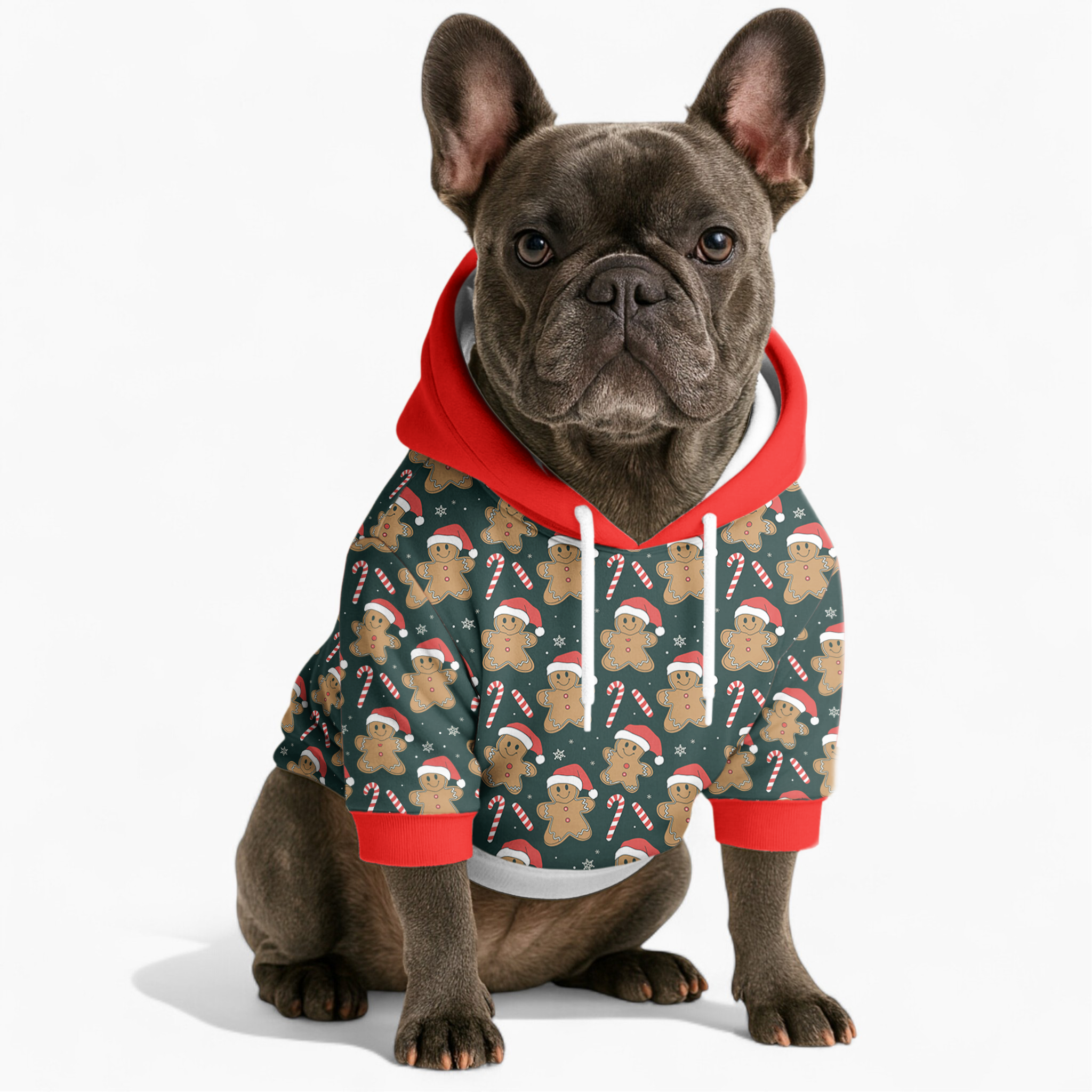 Chandler French Bulldog Cotton Sweatshirt for Pet Culture-fadou