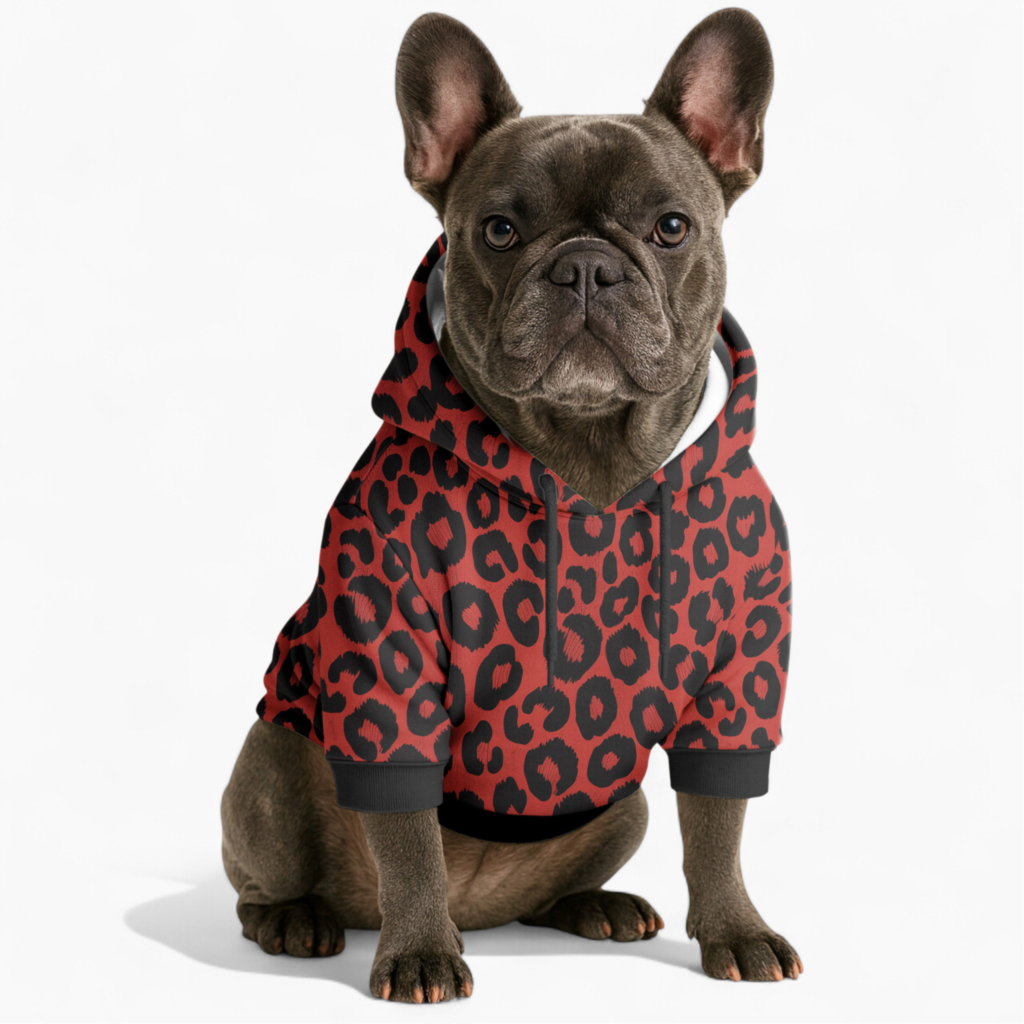 Maxima French Bulldog Pet Sweatshirt for Training Sessions-fadou