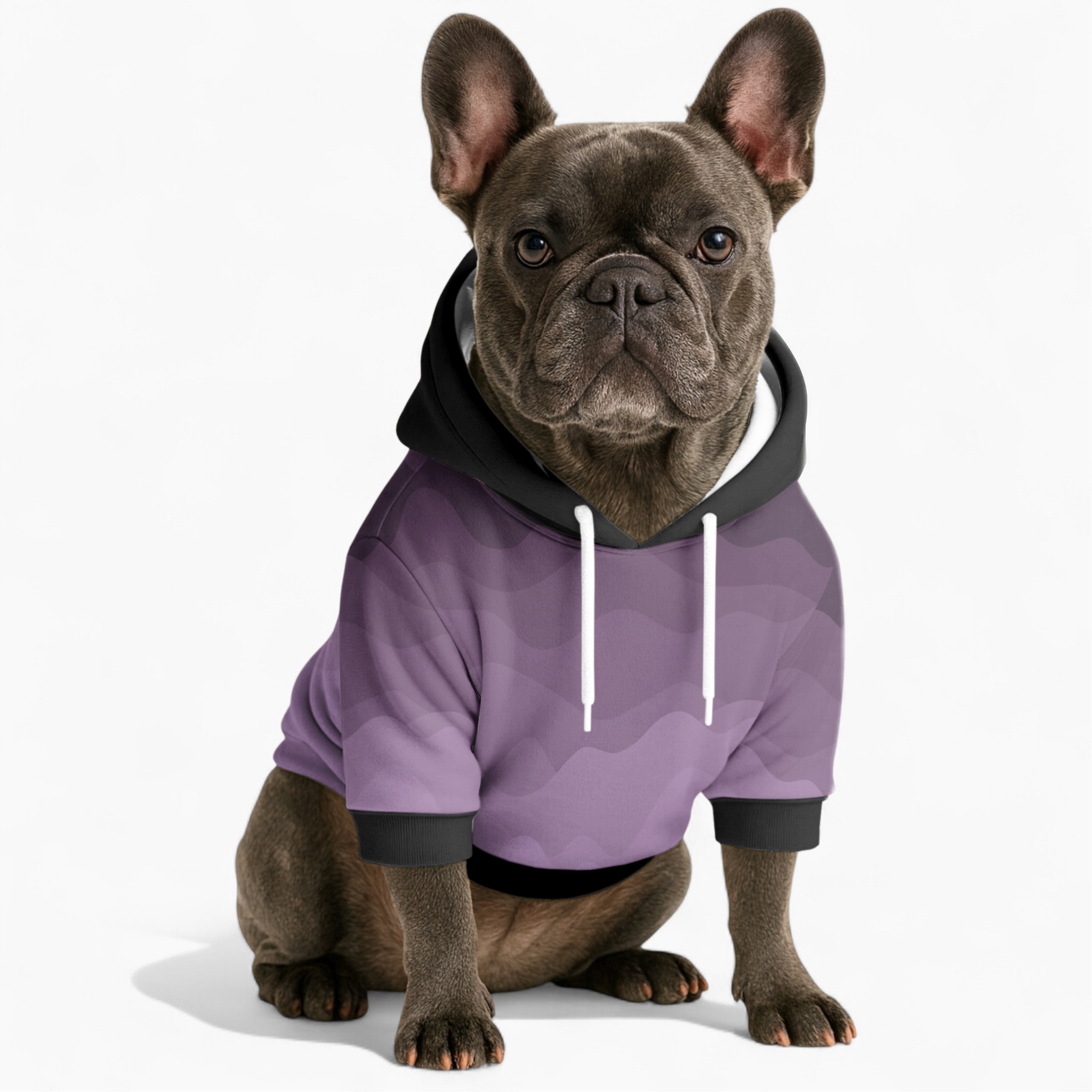 Goldie French Bulldog Pet Sweatshirt for Brachycephalic Dogs-fadou