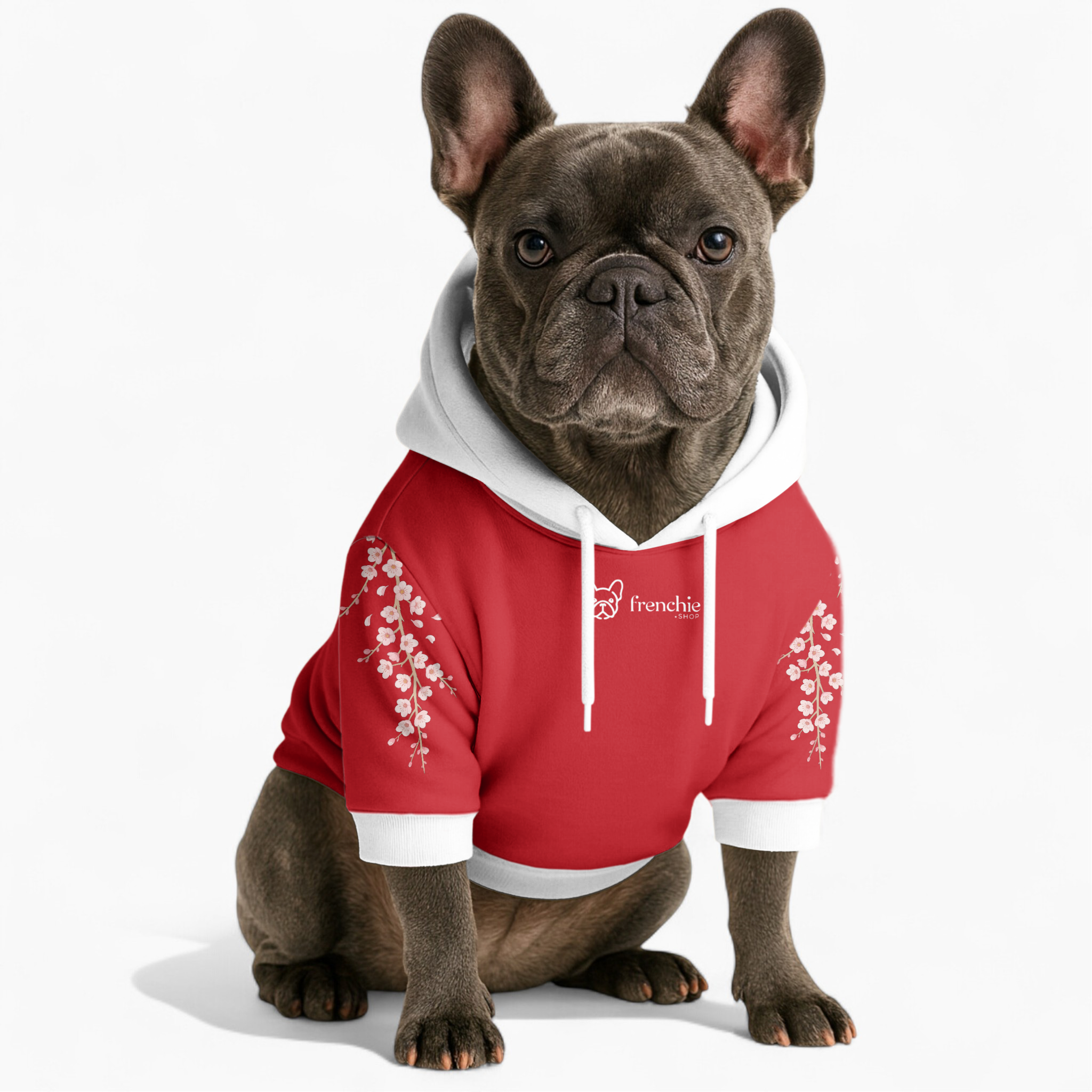 Darwin French Bulldog Dog Hoodie for Brachycephalic Dogs-fadou