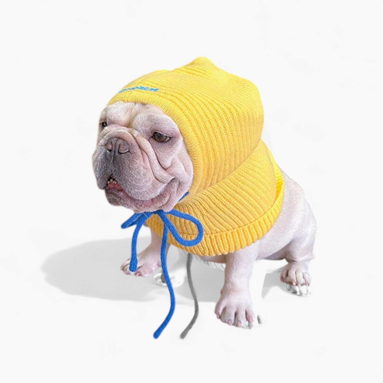 WagLoom French Bulldog Accessory for Frenchie Enthusiasts-fadou