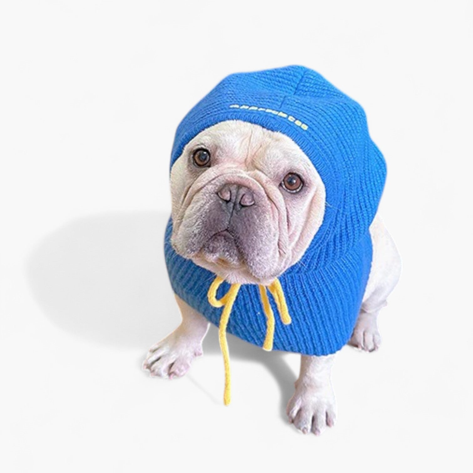 WagLoom French Bulldog Accessory for Frenchie Enthusiasts-fadou