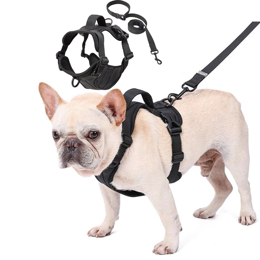 WalkEase French Bulldog Dog Harness for Outdoor Adventures-fadou