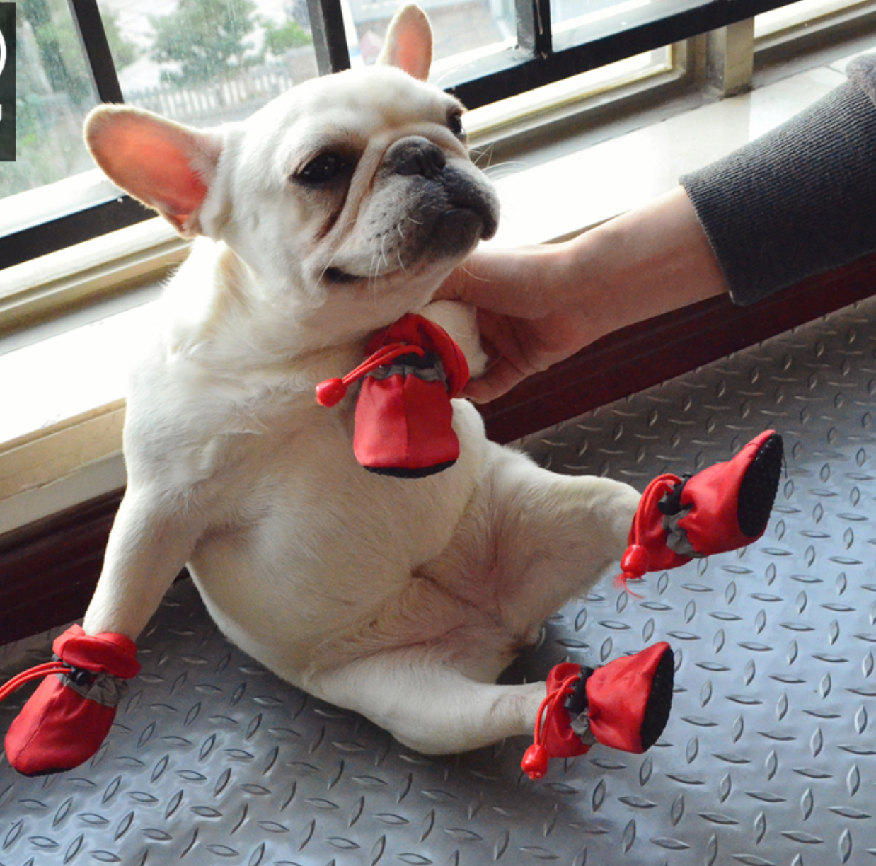 French Bulldog Warm Fashion Boots for Frenchie Enthusiasts-fadou