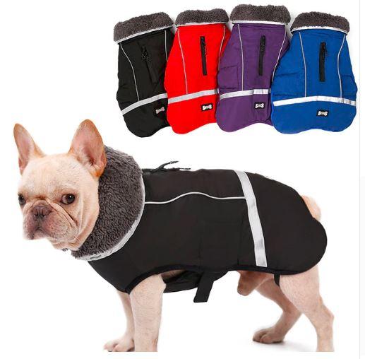 Warm Coat for Frenchie for French Bulldog Owners and Fans-fadou