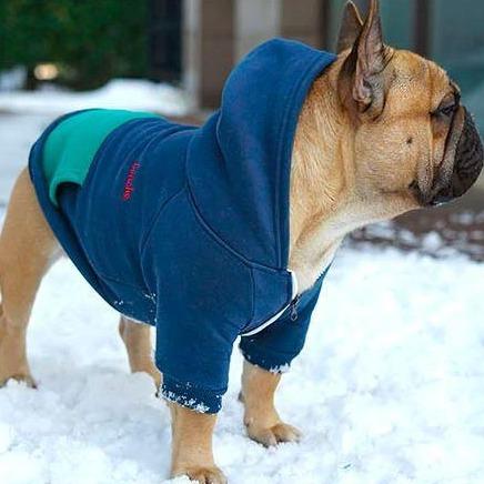 French Bulldog Warm Pet Parent Pullover for Pet Culture-fadou