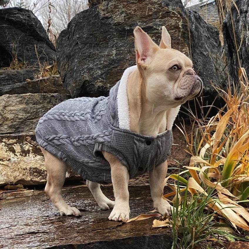 French Bulldog Warm Knitwear for Brachycephalic Dogs Gifts-fadou