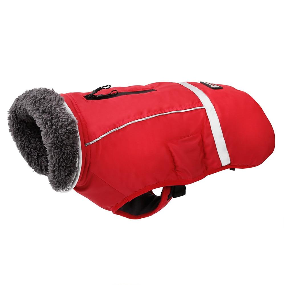 Warm Coat for Frenchie for French Bulldog Owners and Fans-fadou
