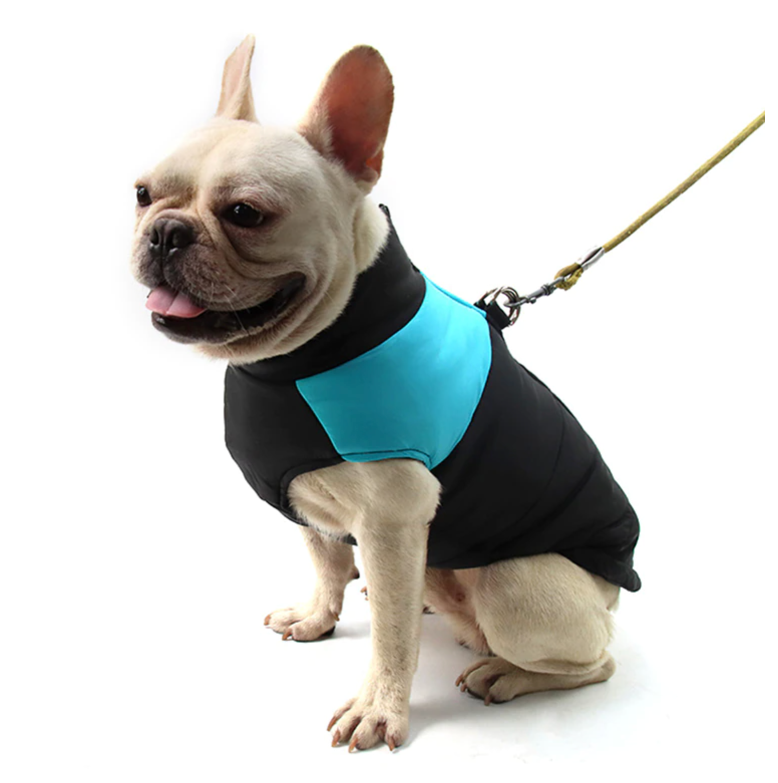 French Bulldog Waterproof Winter Jacket for Cozy Nights-fadou