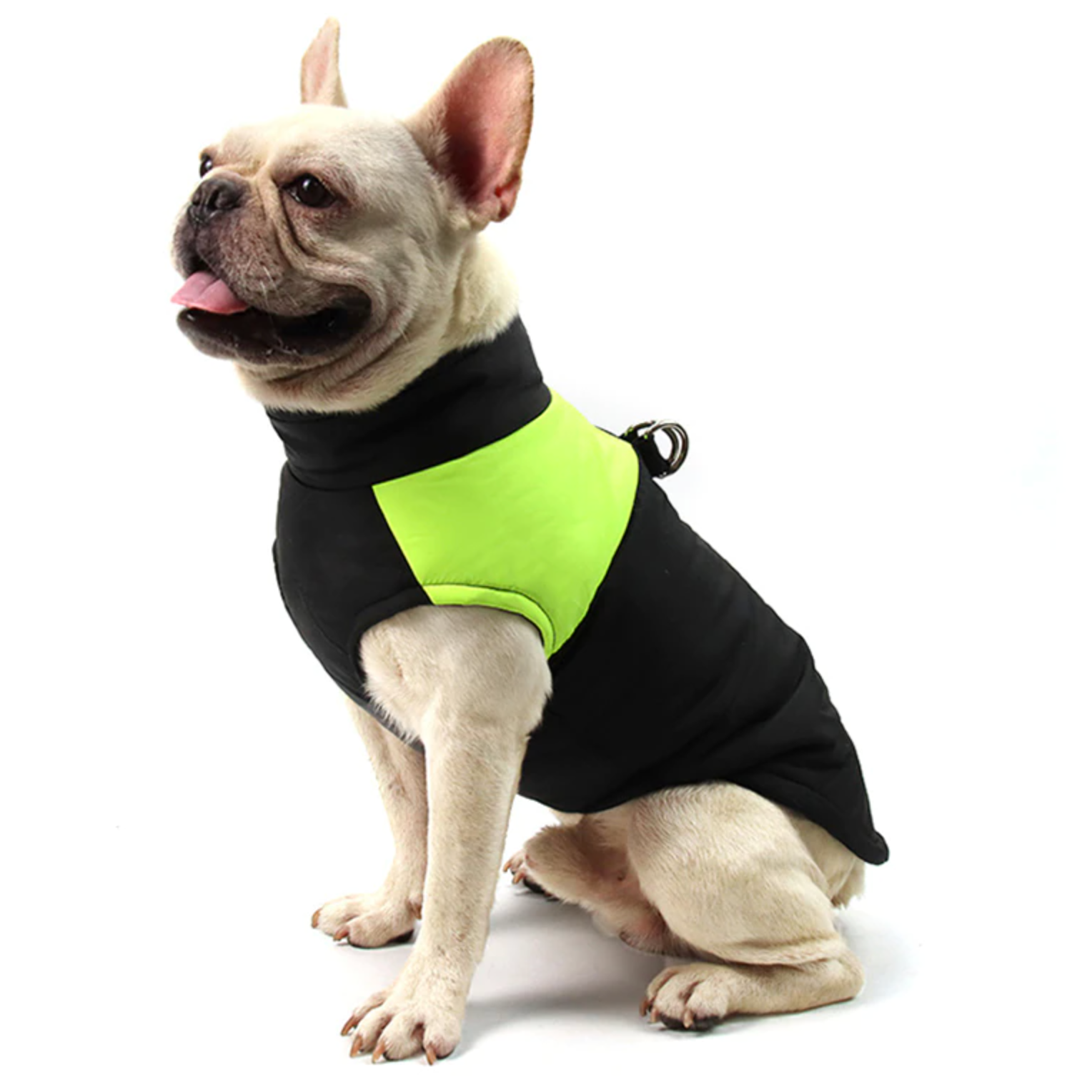 French Bulldog Waterproof Winter Jacket for Cozy Nights-fadou