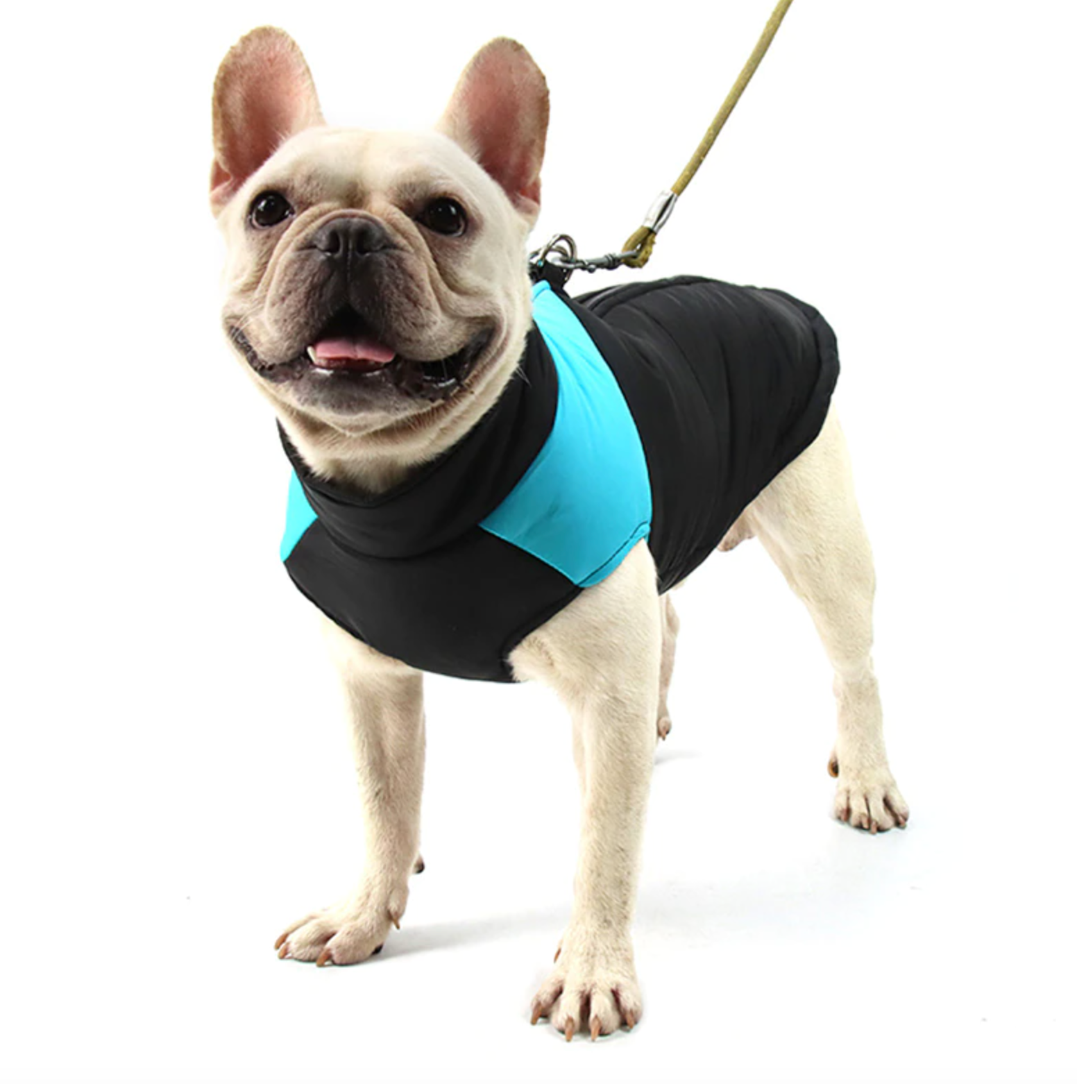 French Bulldog Waterproof Winter Jacket for Cozy Nights-fadou