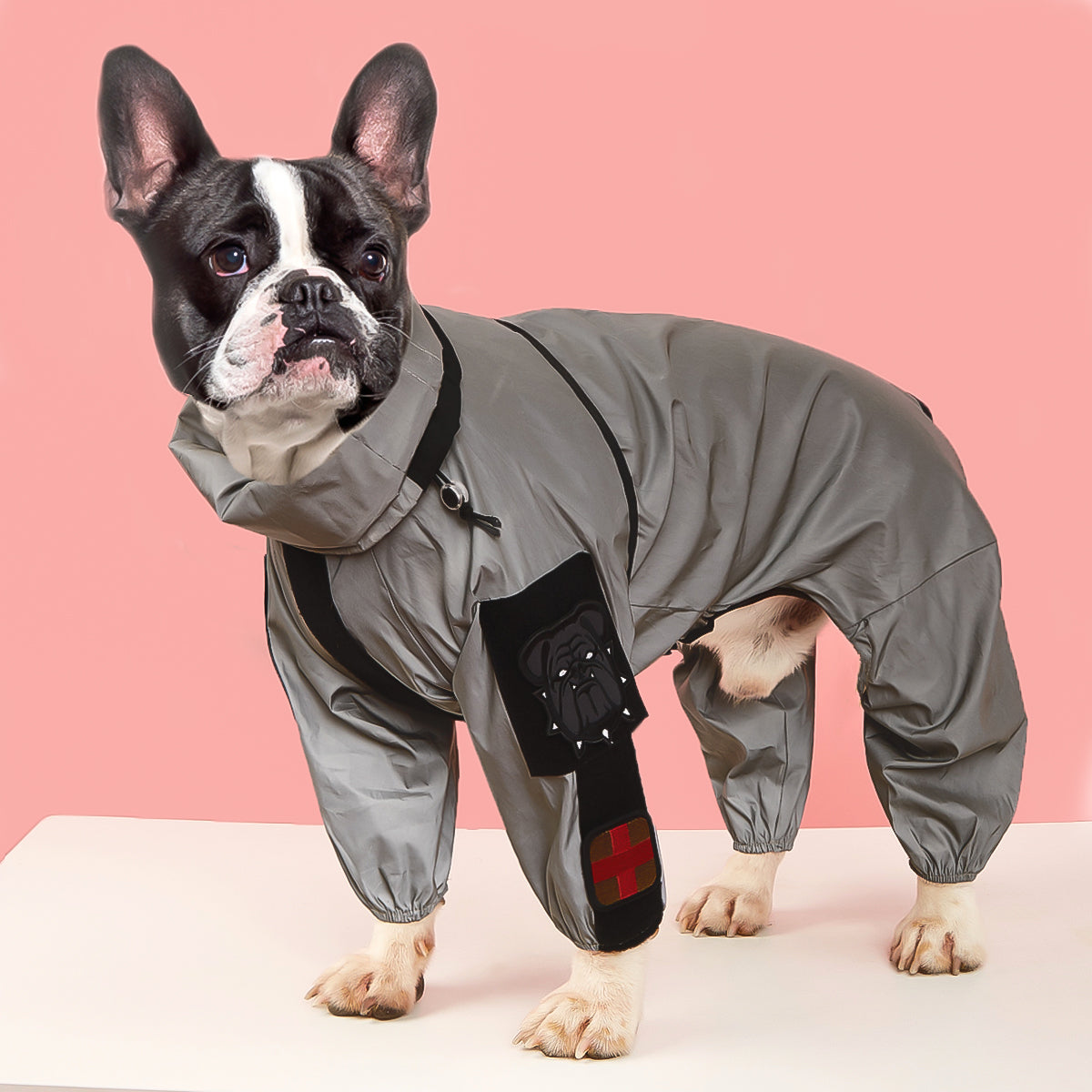 French Bulldog Reflective Dog Mom Hoodie for Frenchie Fans-fadou
