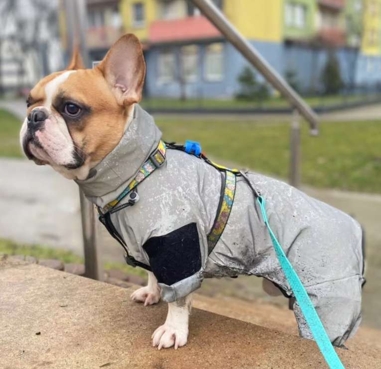 French Bulldog Reflective Dog Mom Hoodie for Frenchie Fans-fadou