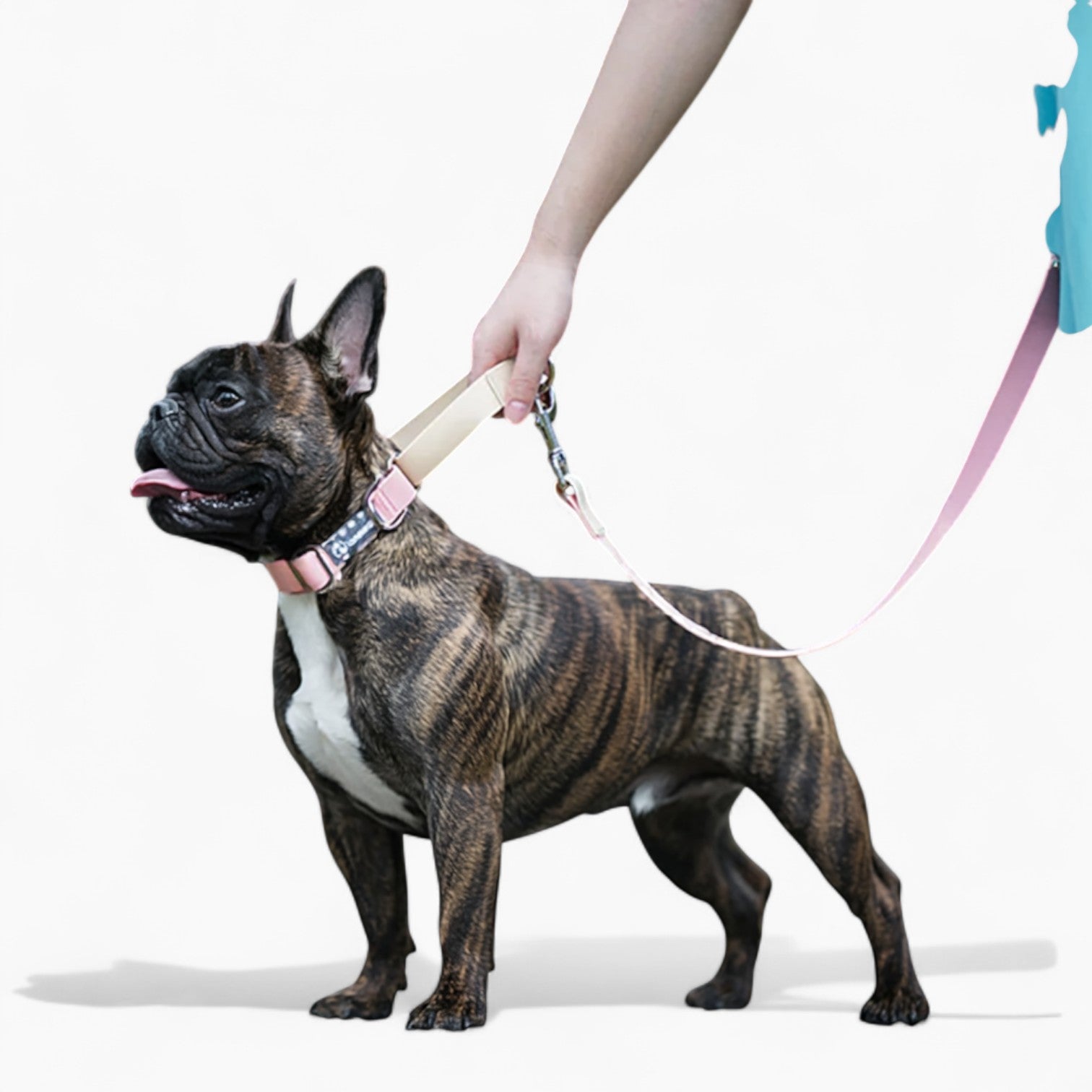 French Bulldog Waterproof Neck Collar for French Bulldogs-fadou