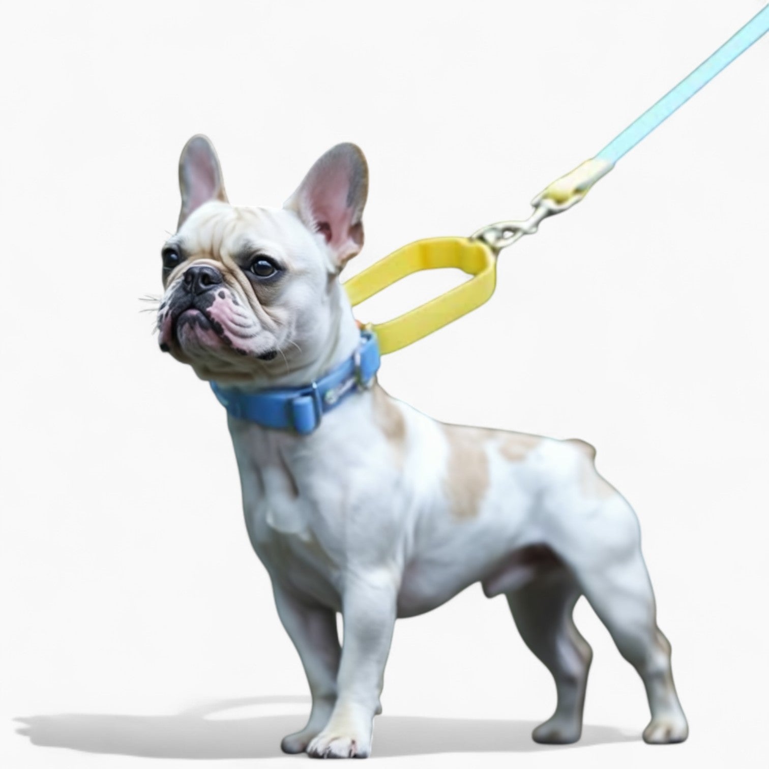 French Bulldog Waterproof Neck Collar for French Bulldogs-fadou