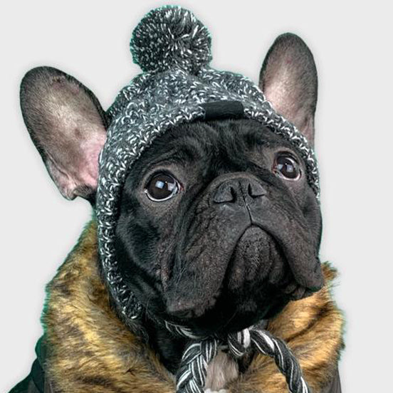 French Bulldog Winter Sun Headwear for Outdoor Adventures-fadou