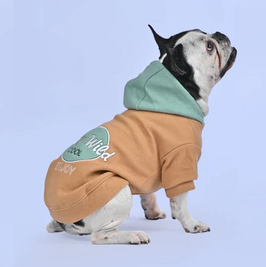 French Bulldog Soft Fleece Hoodie for Frenchie Enthusiasts-fadou