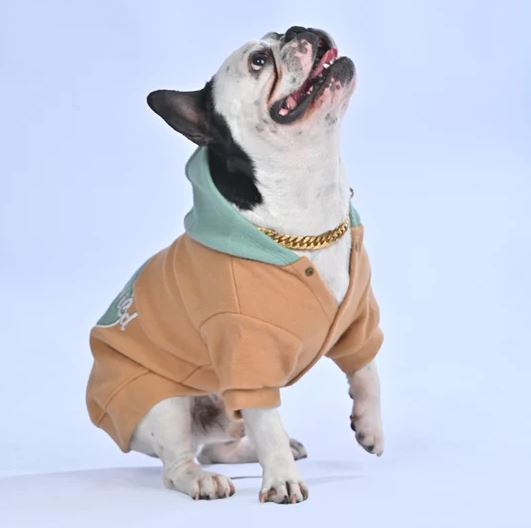 French Bulldog Soft Fleece Hoodie for Frenchie Enthusiasts-fadou