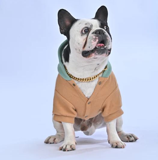 French Bulldog Soft Fleece Hoodie for Frenchie Enthusiasts-fadou
