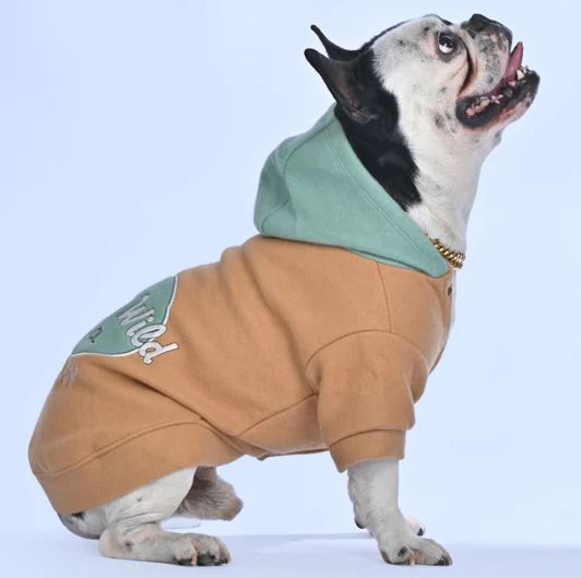 French Bulldog Soft Fleece Hoodie for Frenchie Enthusiasts-fadou