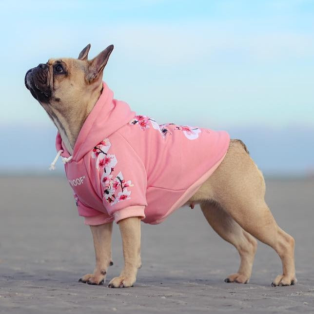 Frenchdot™ - French Bulldog Woof Hoodie for Dog Park Days-fadou
