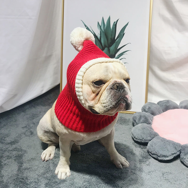 French Bulldog Cozy Cute Dog Hat for Outdoor Adventures-fadou