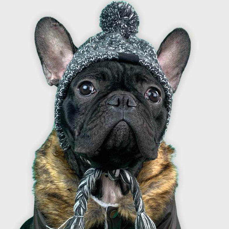 French Bulldog Winter Sun Headwear for Outdoor Adventures-fadou